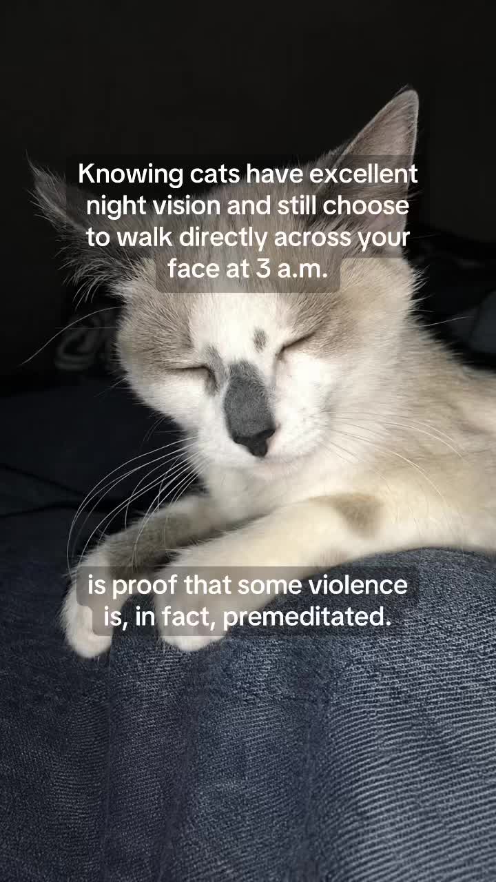 @Ric 206