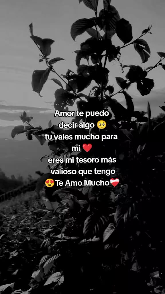 @Edwin❣📿🧿frases🔮