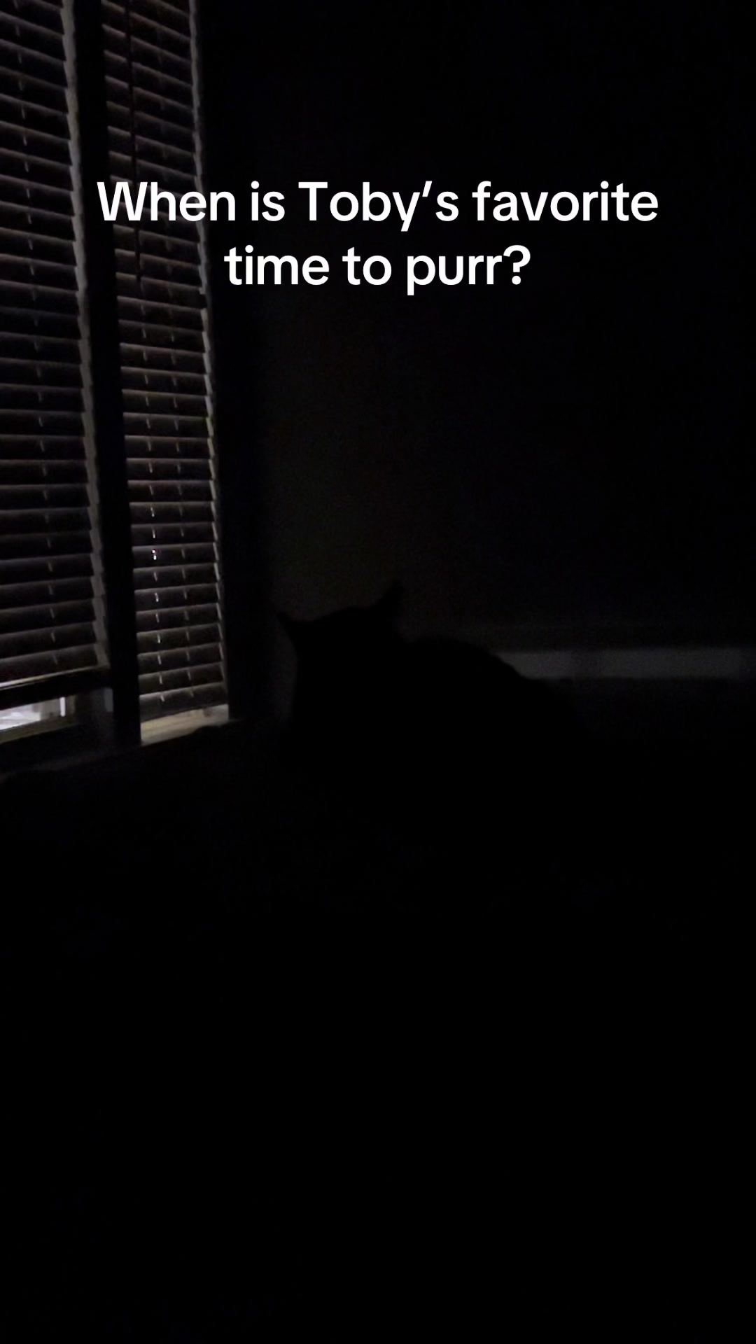 @Toby Purrrs