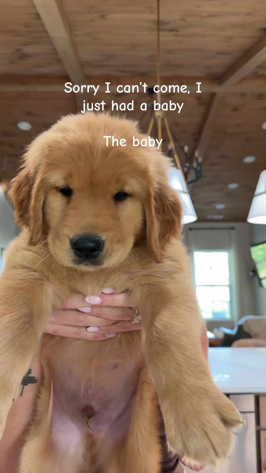 @paytonsallen