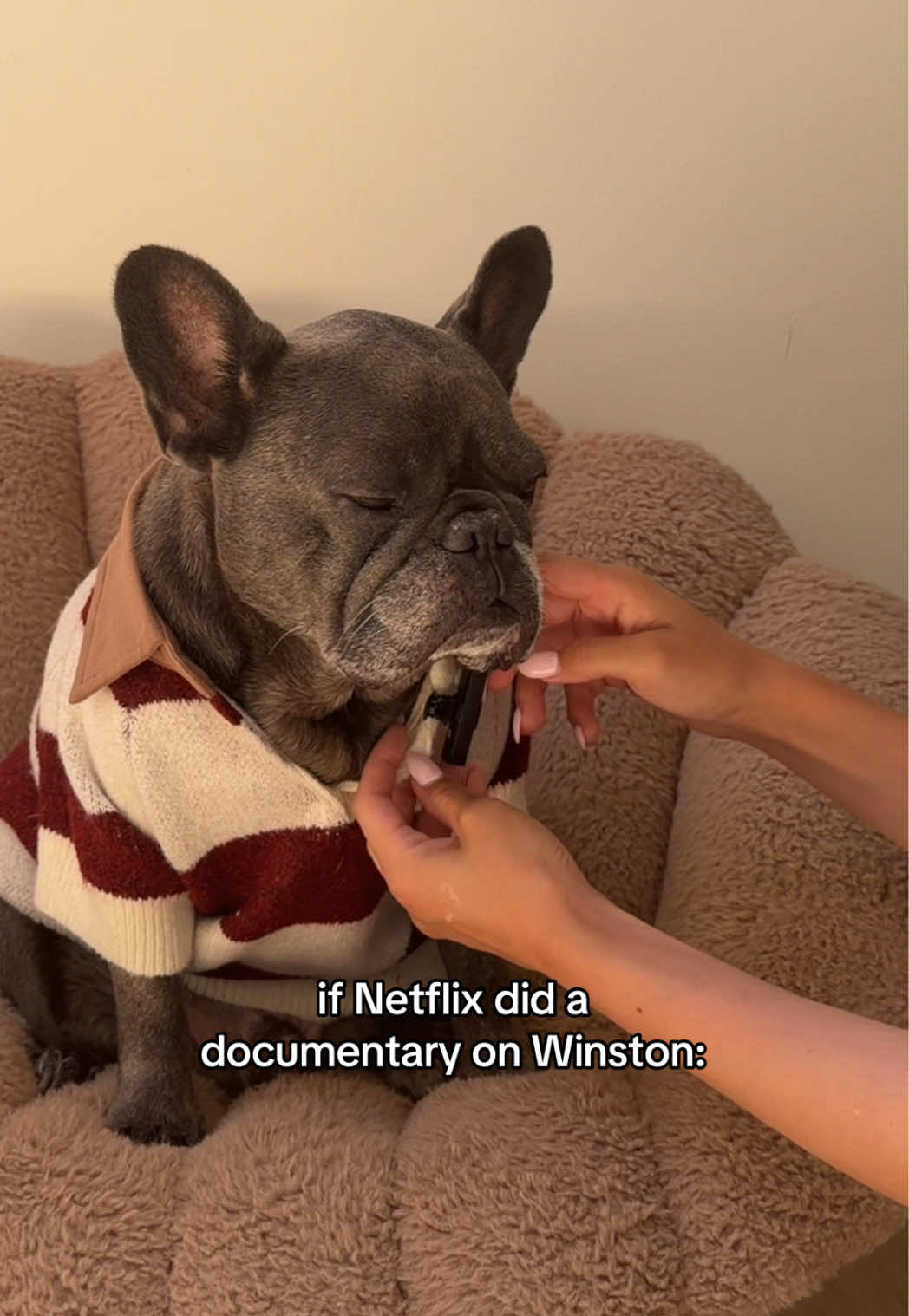 @Winston & Charlie 🐾