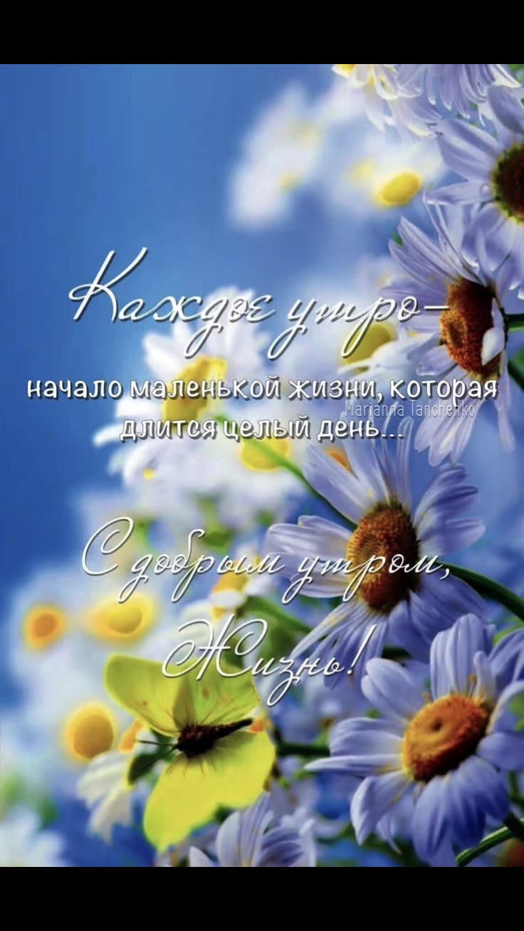 @Маргарита Шнейдерова