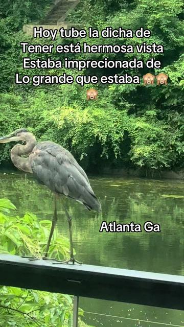 @BeautyglamHilda
