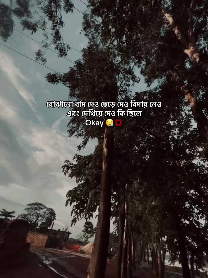 @Ṃσ𝒌𝖆ṛ𝙤ꪑ 𝐻𝙤𝔰𝔰ẳ (•◡•)