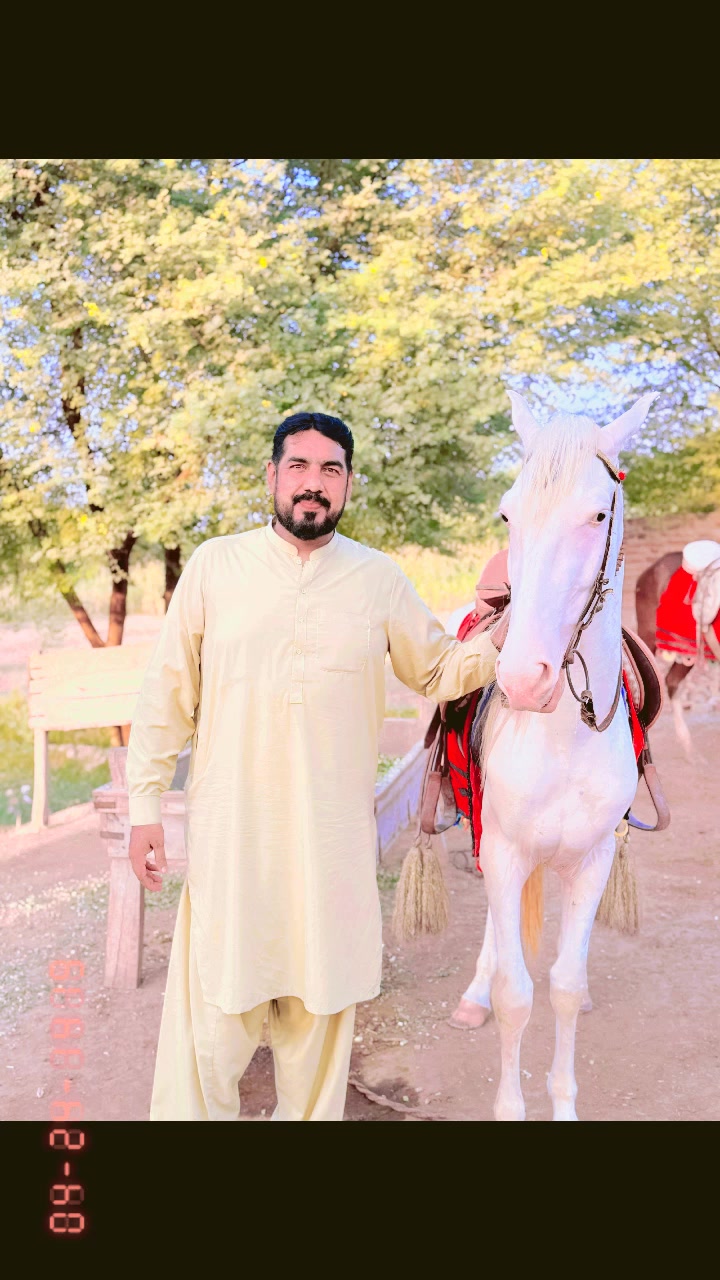 @Zaheer Farooqi