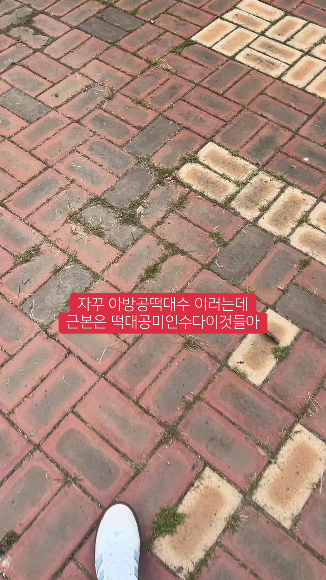 @얼음정수기