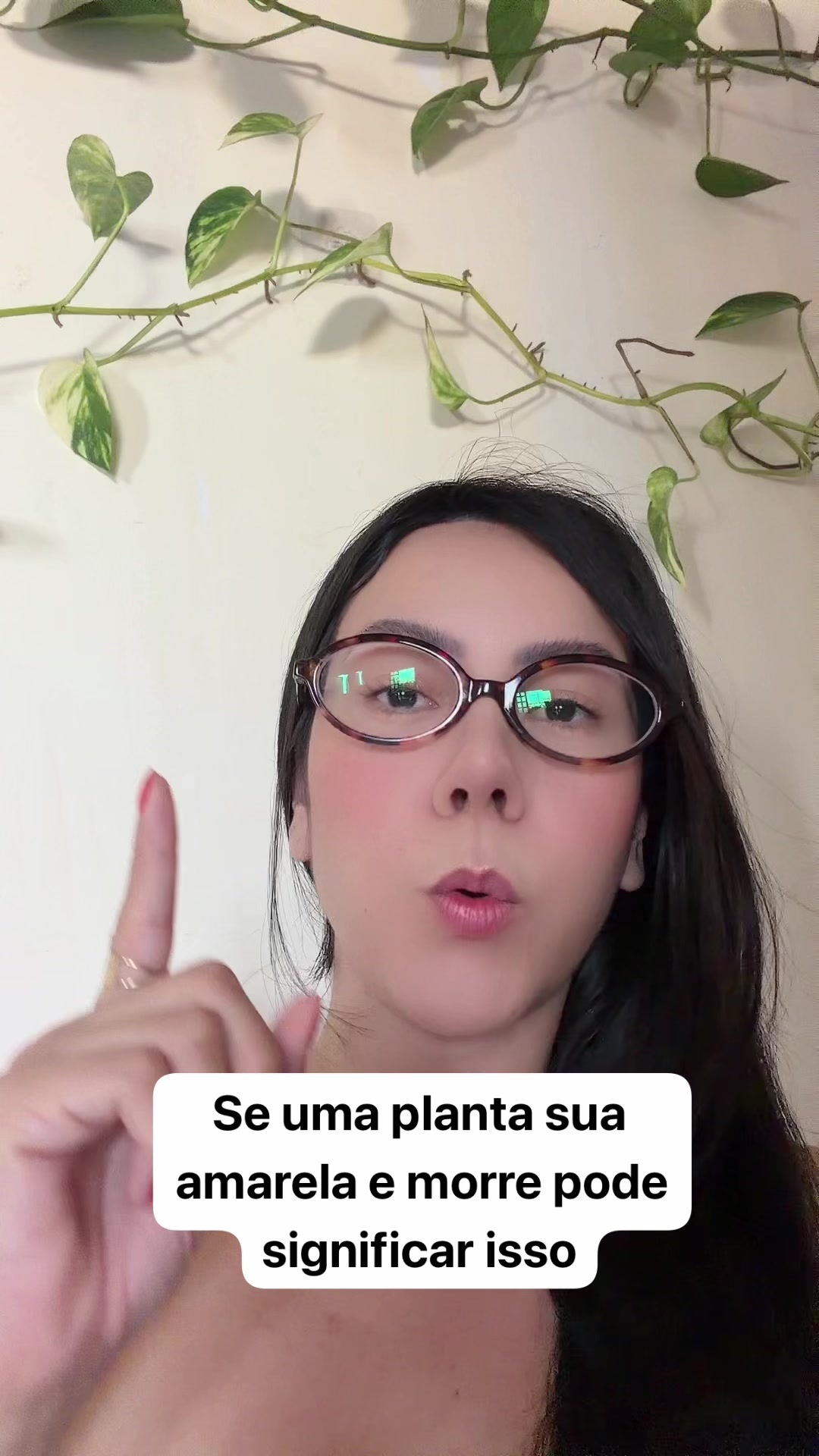 @Isabela Pedroso