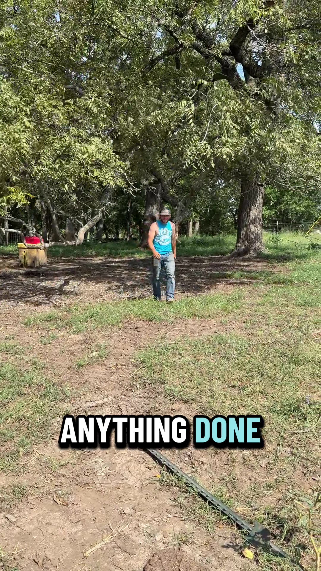 @webbcattlecohighlands
