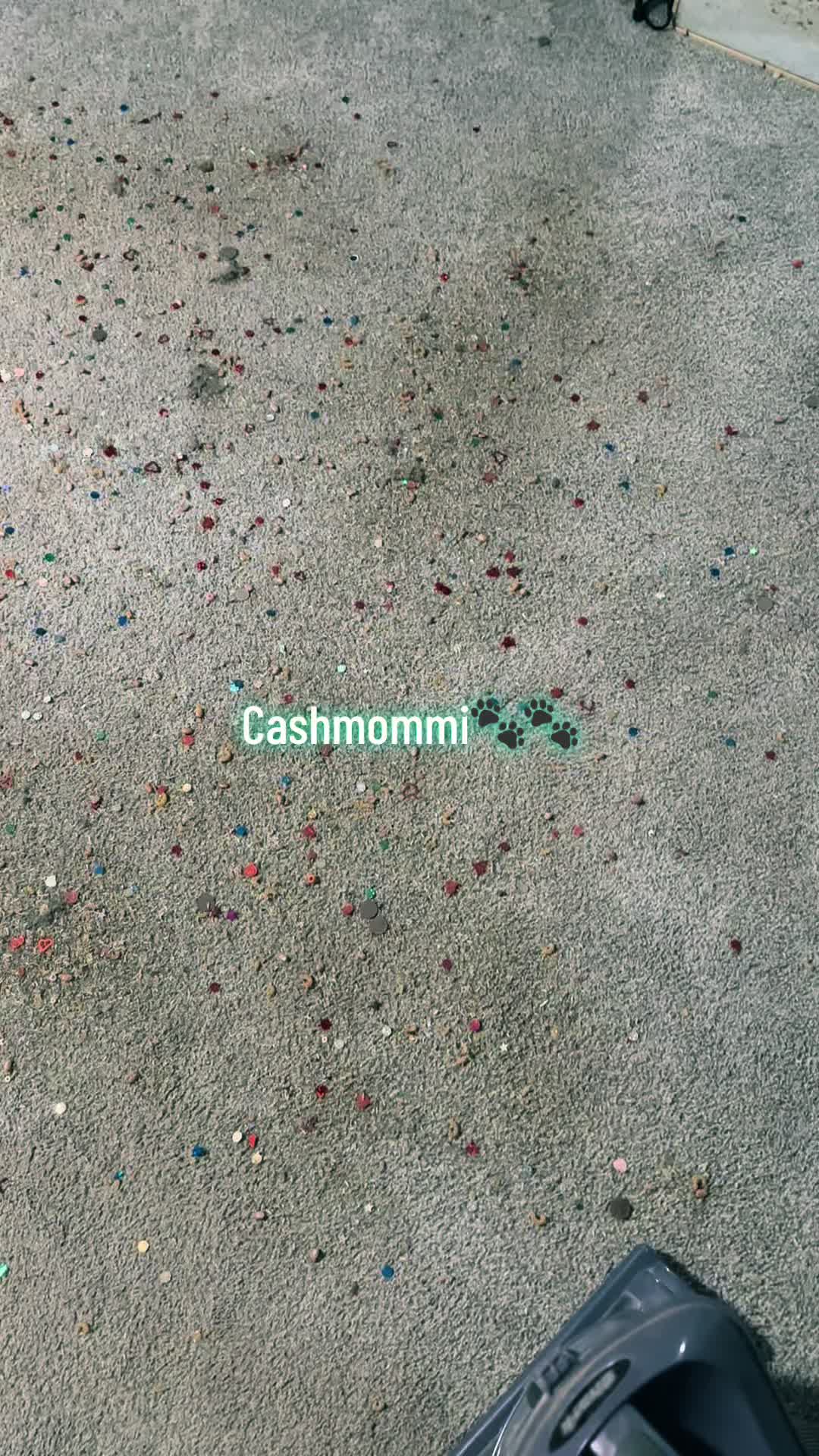 @CashmommiVacs