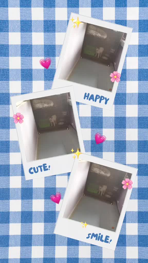 @k4mí🌱⊙⊖⊜