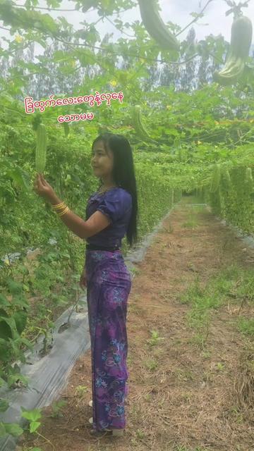 @မမပဲခူးသူ