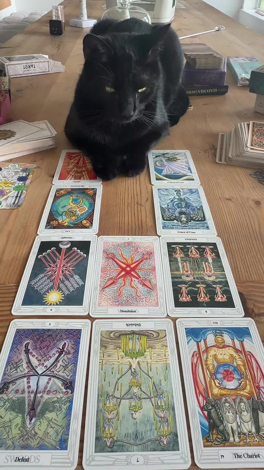 @Soulfuljilly•Life Coach/Tarot