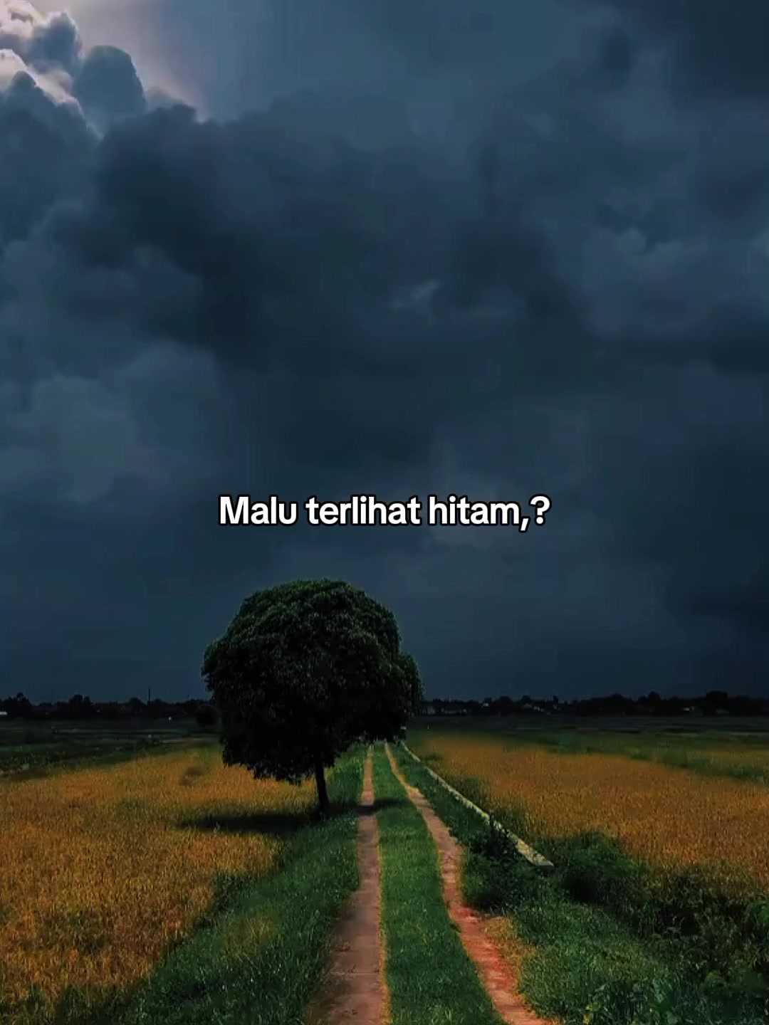 @sekedar kata🕊️