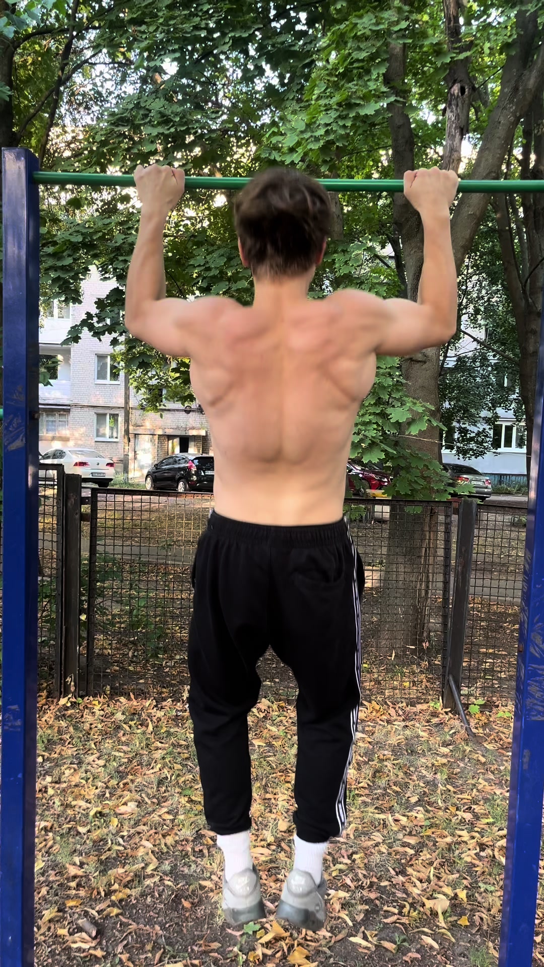 @shumriko