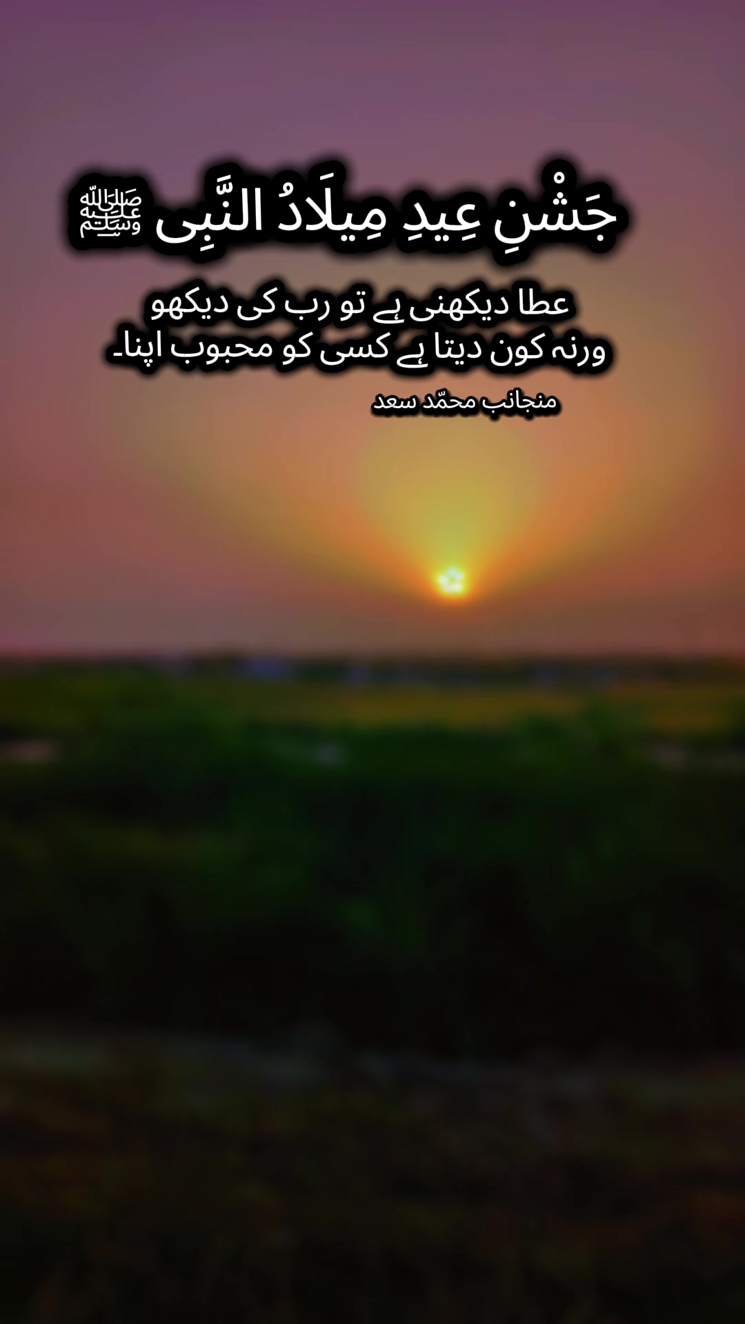 @Saad_Bin_Gulzar
