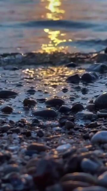 @𝓛𝓘̇🌺𝓝𝓔𝓢𝓢