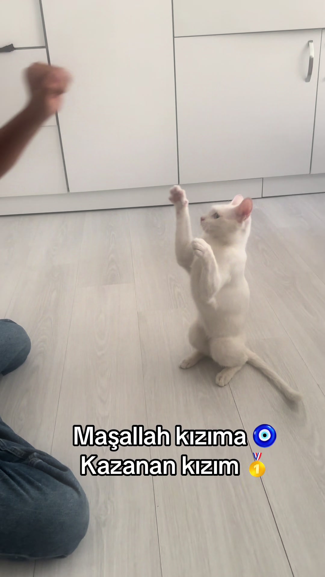 @Nalan Doğan27