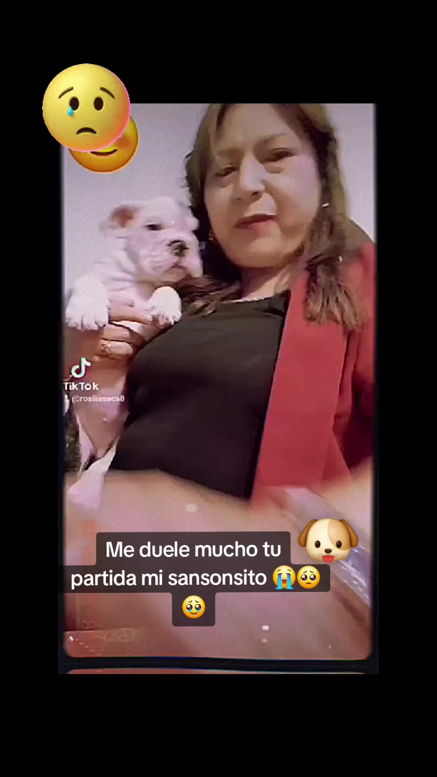 @Rosita Saca