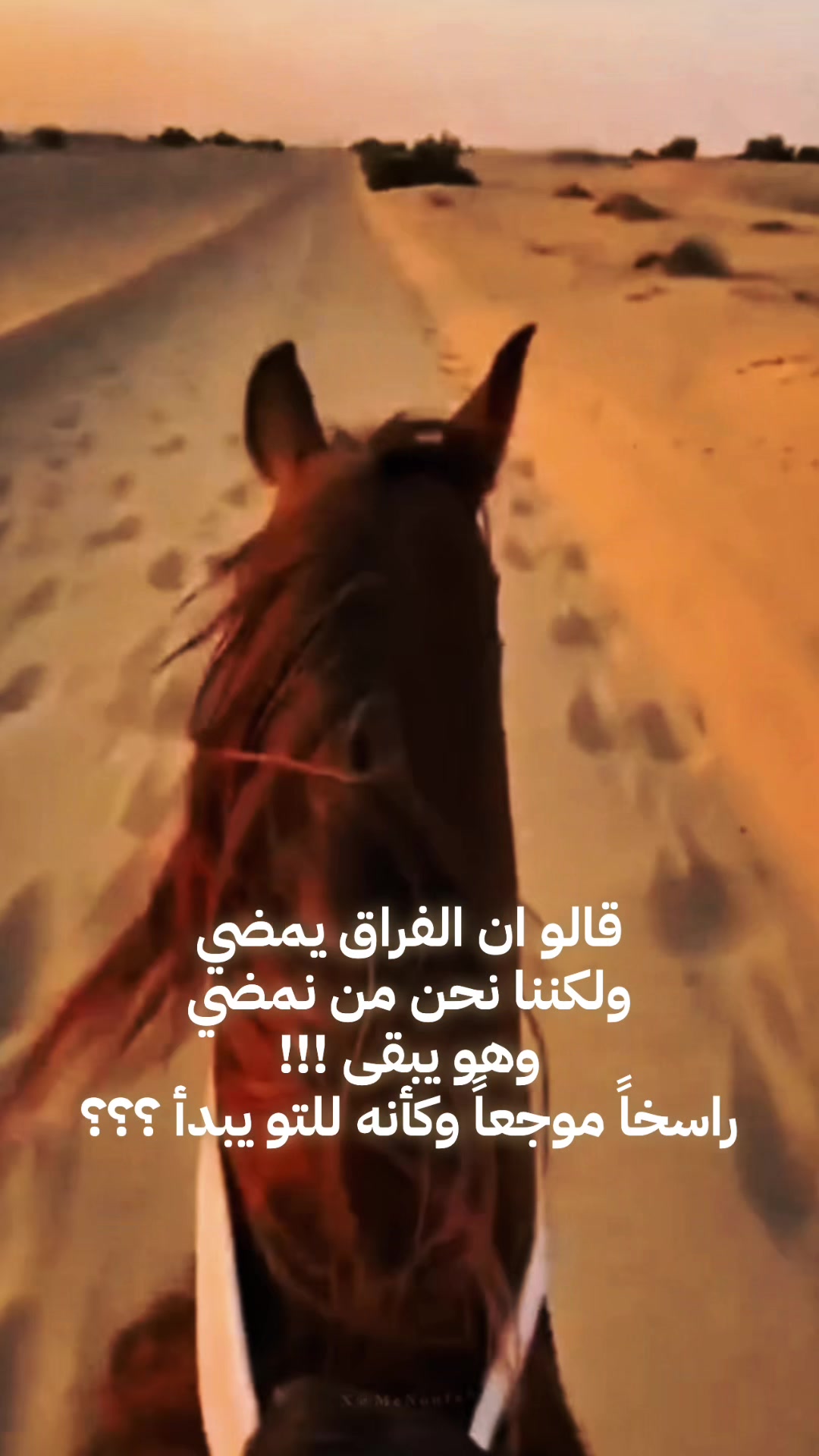 @نهى القطان