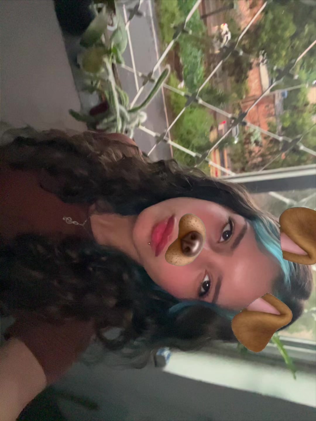 @&bull; Cardozo