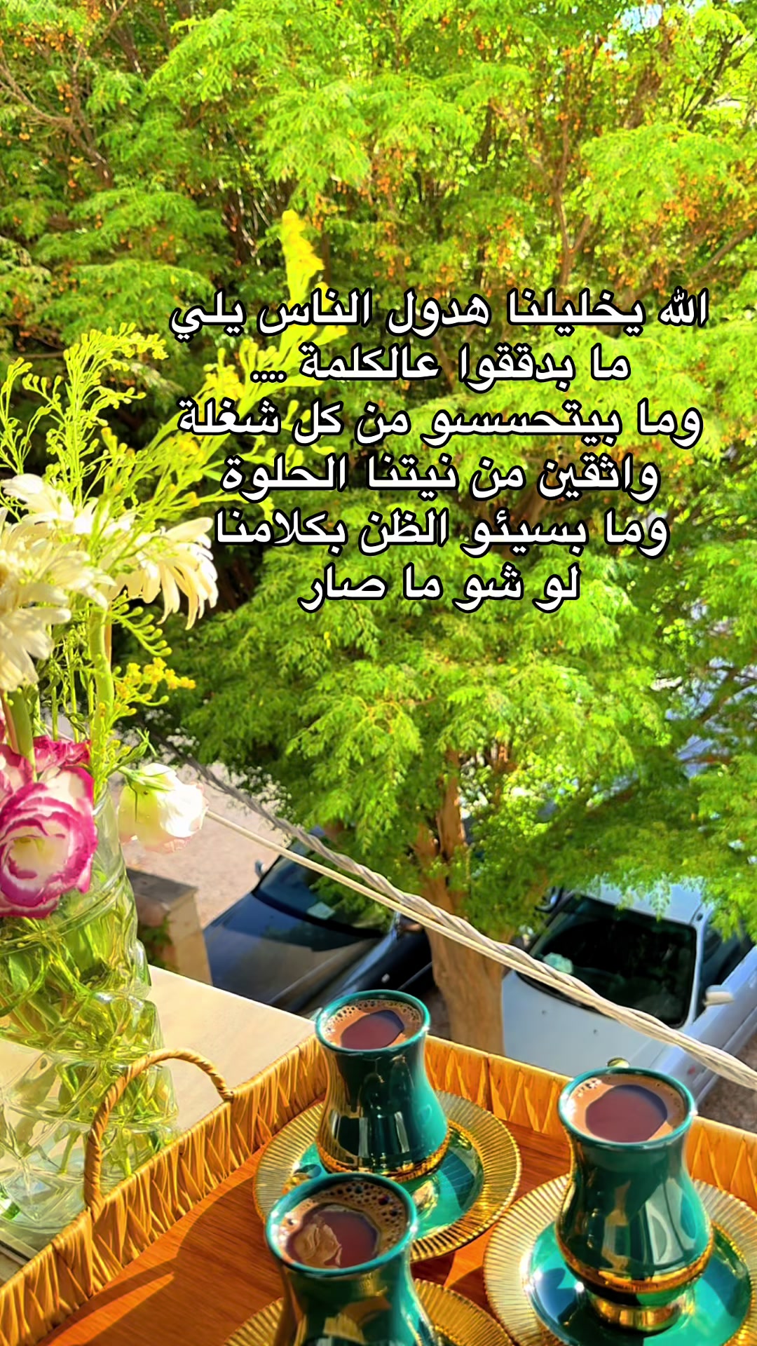 @الوتين 🕊