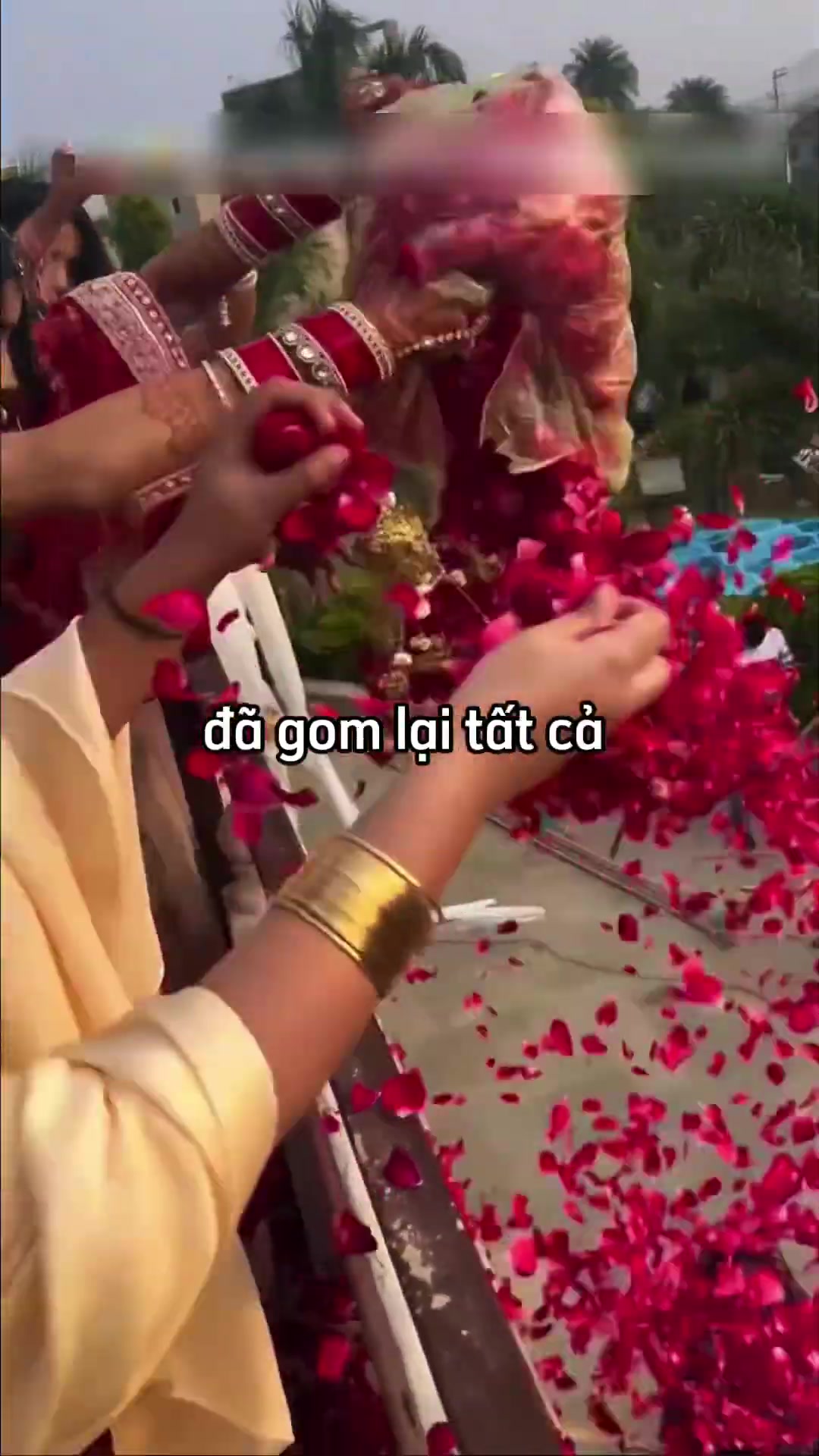 @Tiểu V&acirc;n Y&ecirc;n