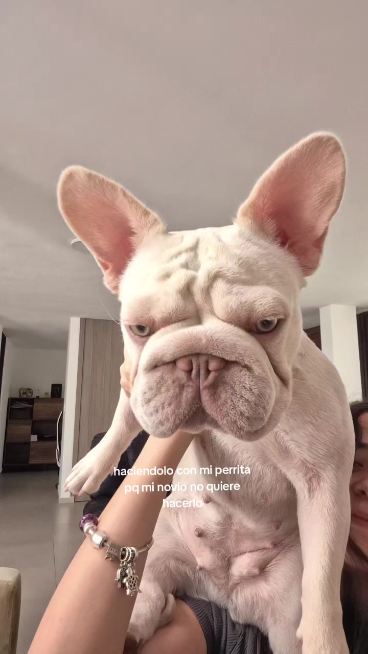@notme