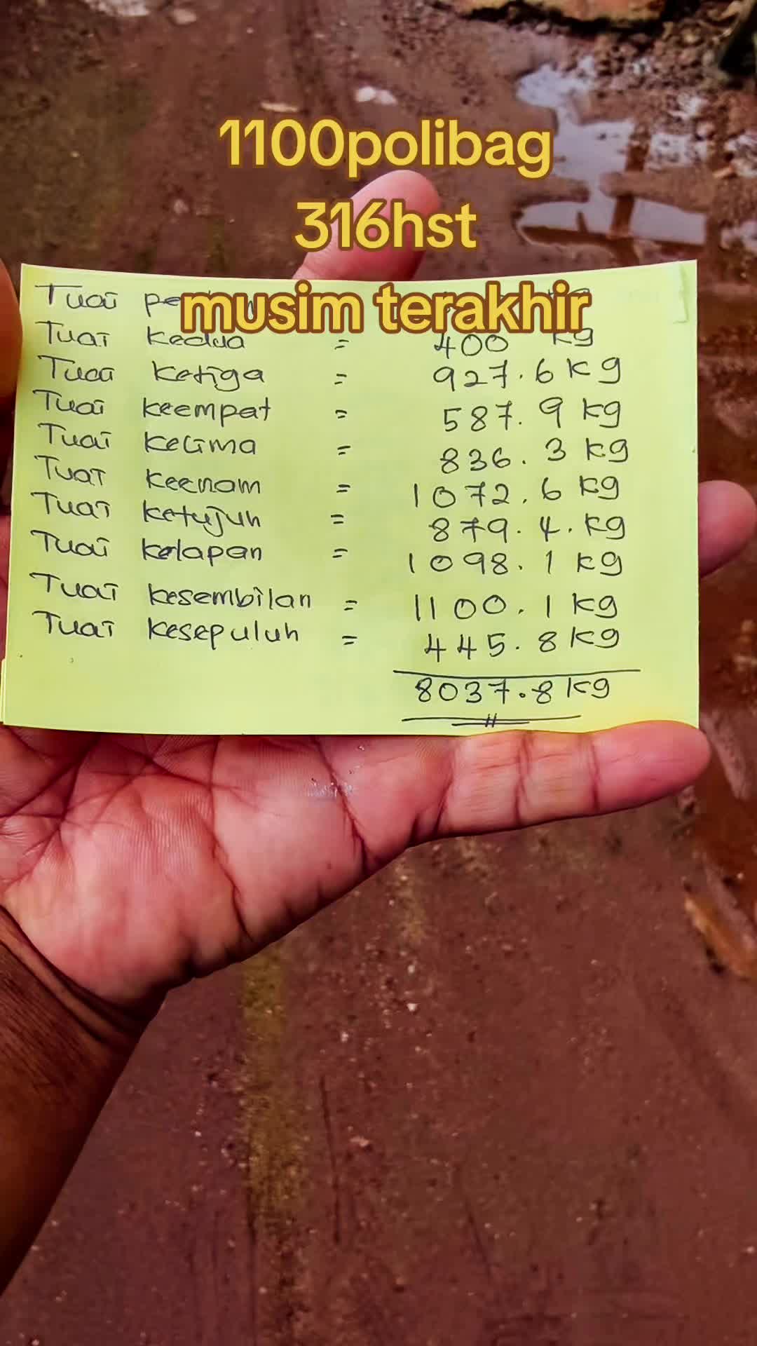 @CiLi BaRa