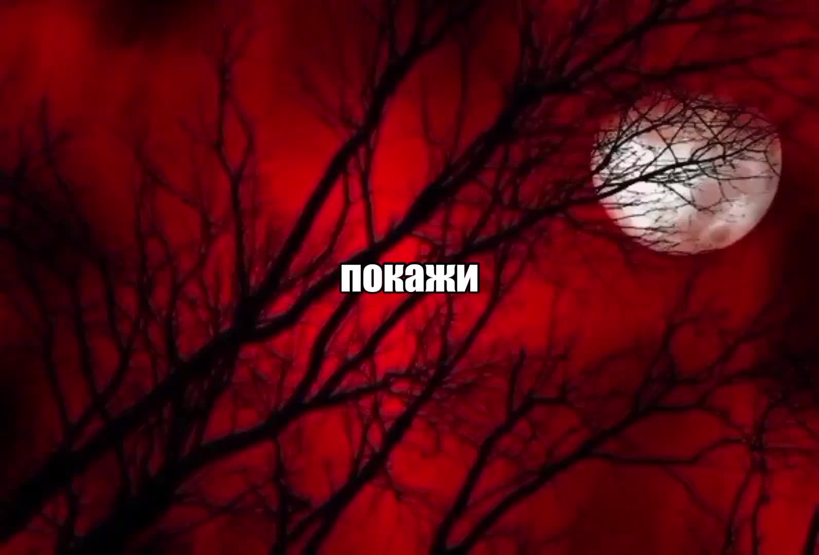 @м&atilde;ндар1н ⁶⁶⁶
