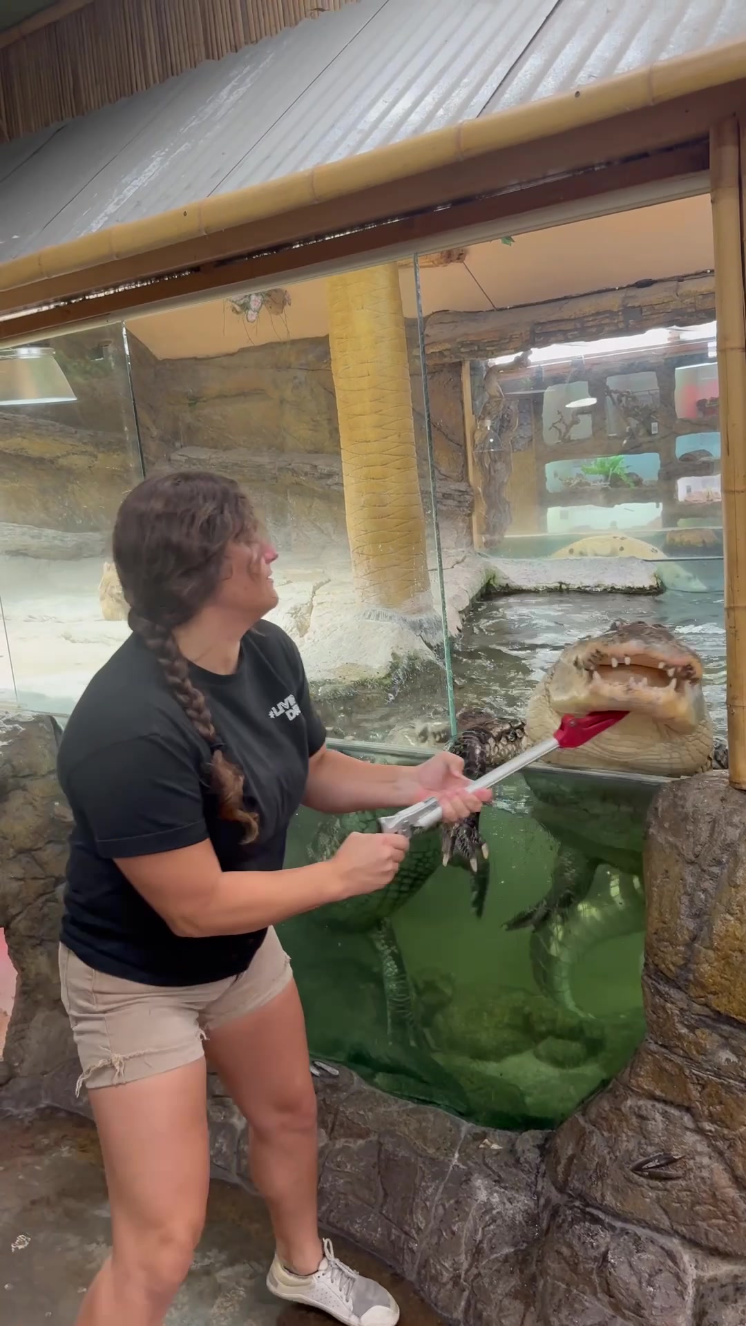 @The Reptile Zoo