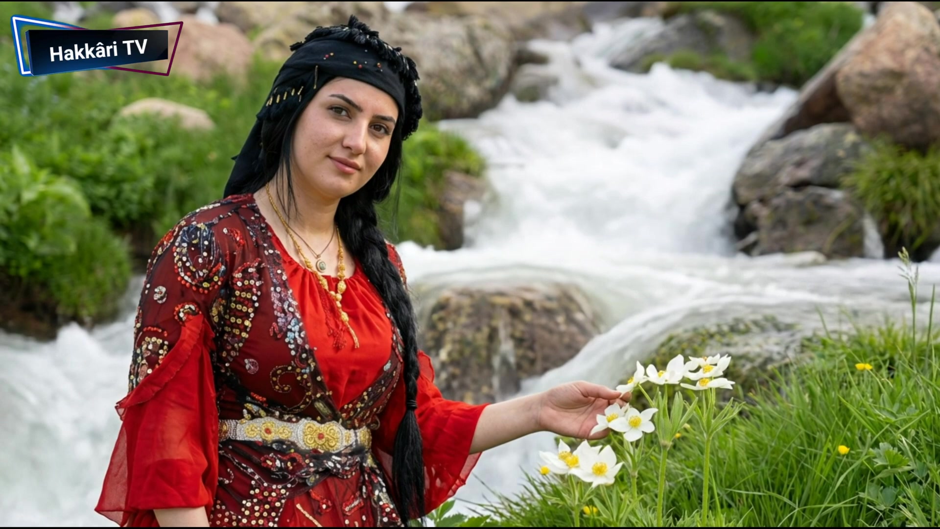 @Hakk&acirc;ri TV