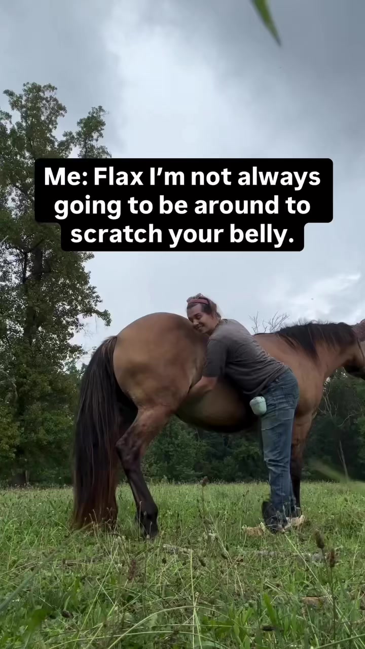 @thismustanglife