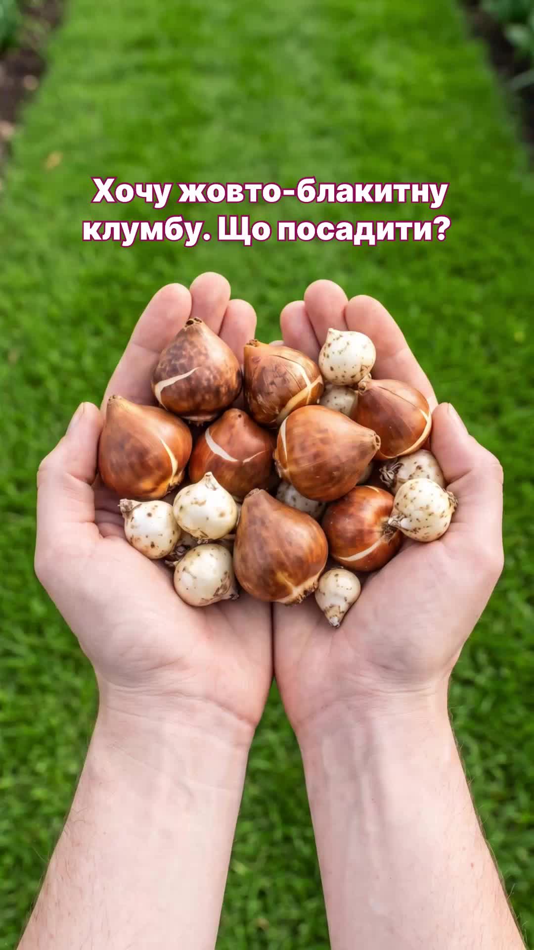 @FLORIUM – Мої Рослини