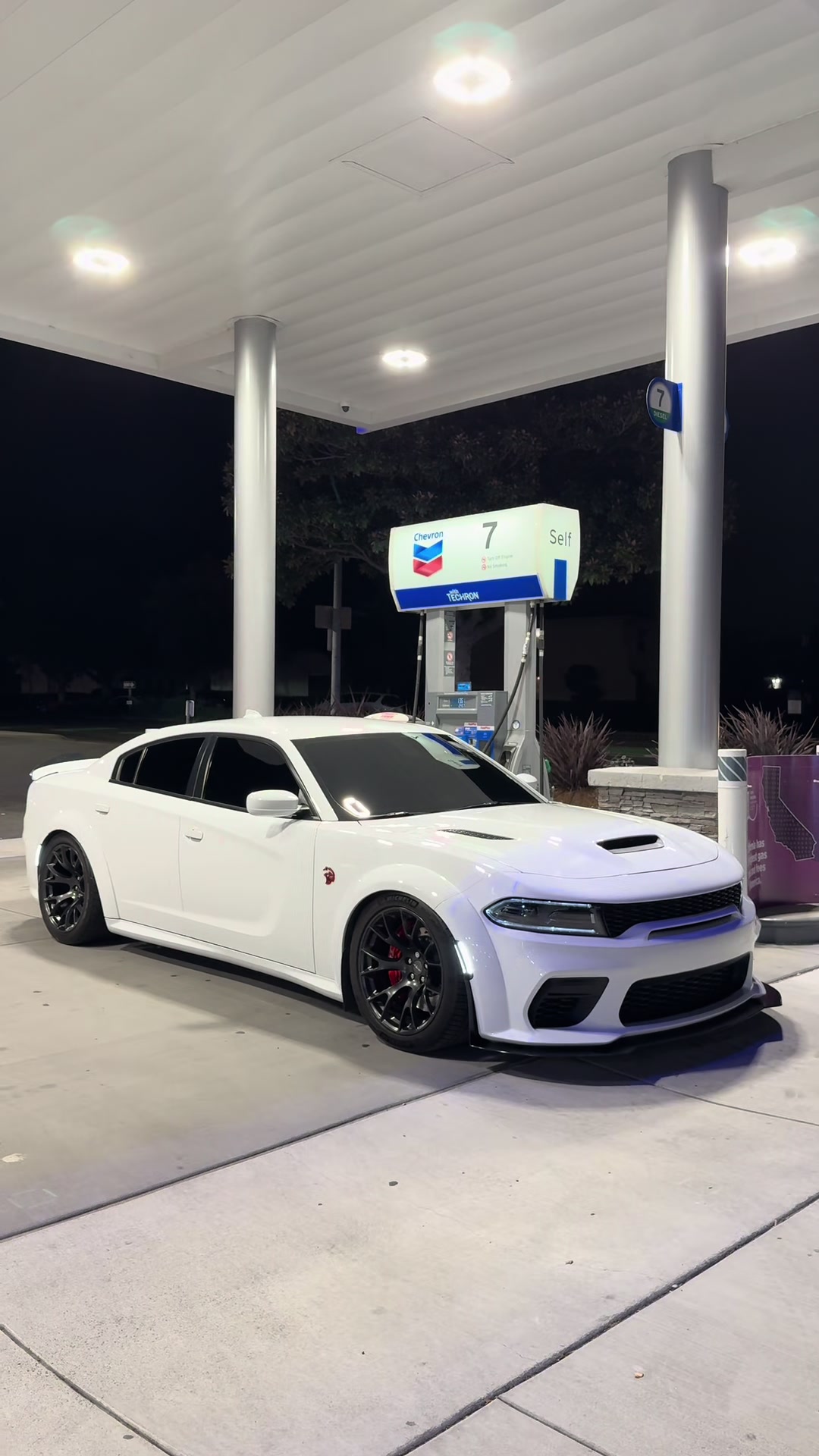 @ant4tw🏆