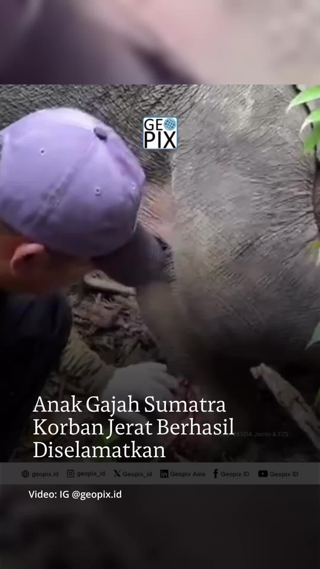 @mongabayindonesia