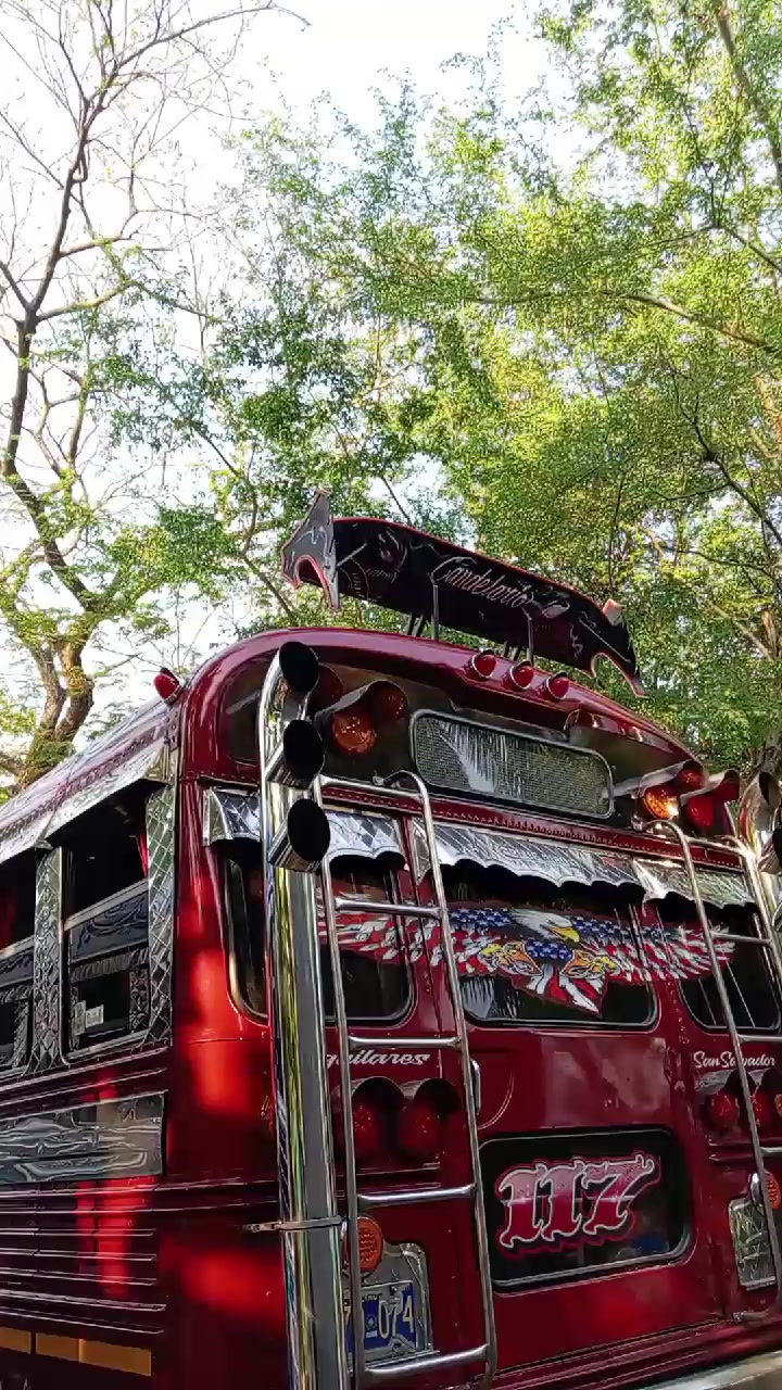 @buses elegantes 503