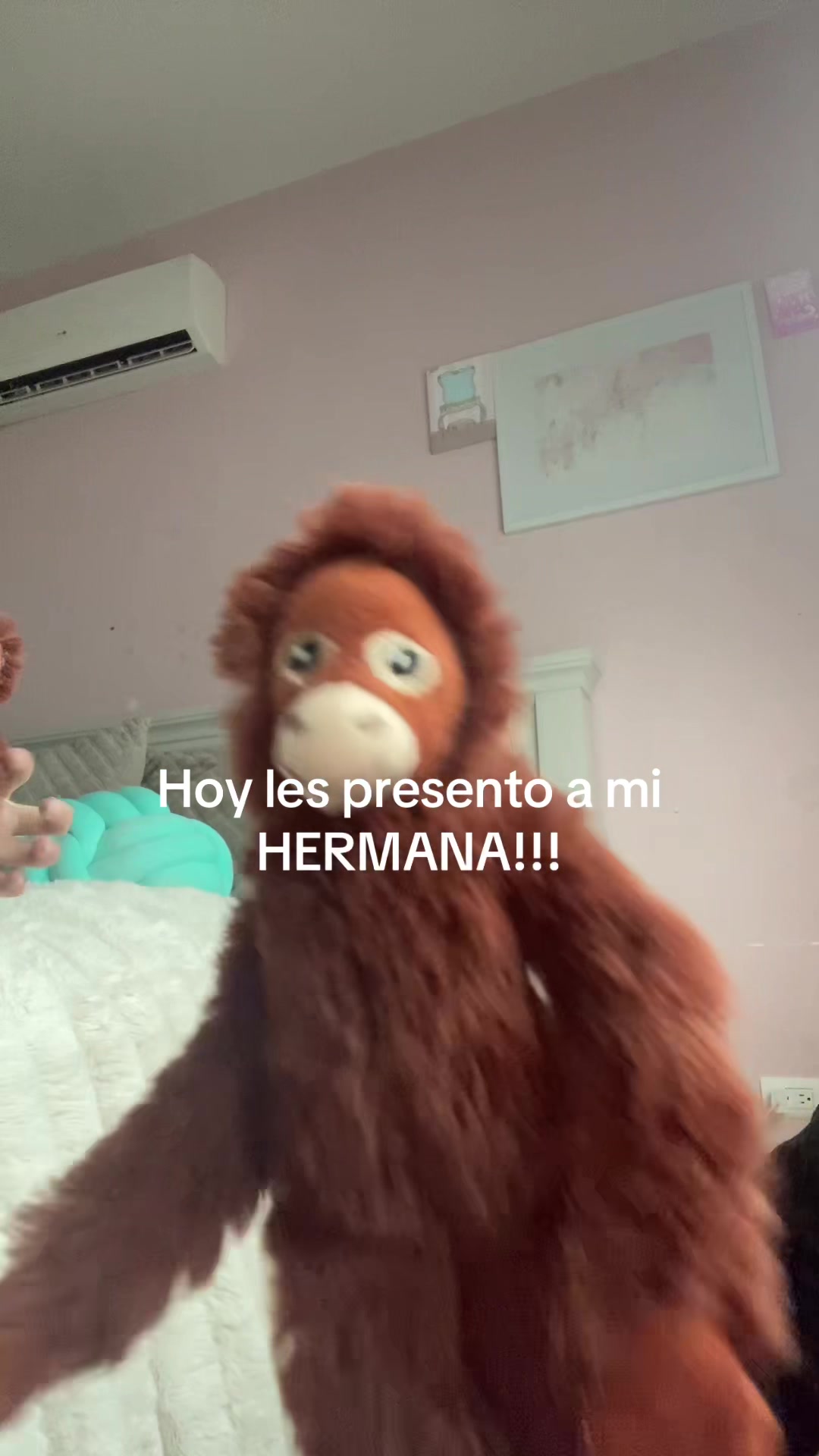 @changos_con_piojos