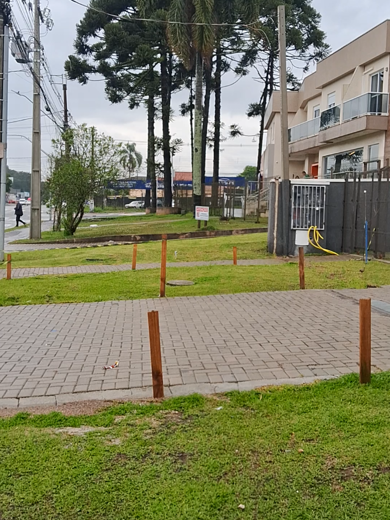 @Dona Cida, Pé na Estrada