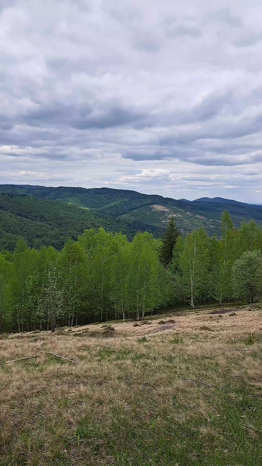 @Світлана Світлана