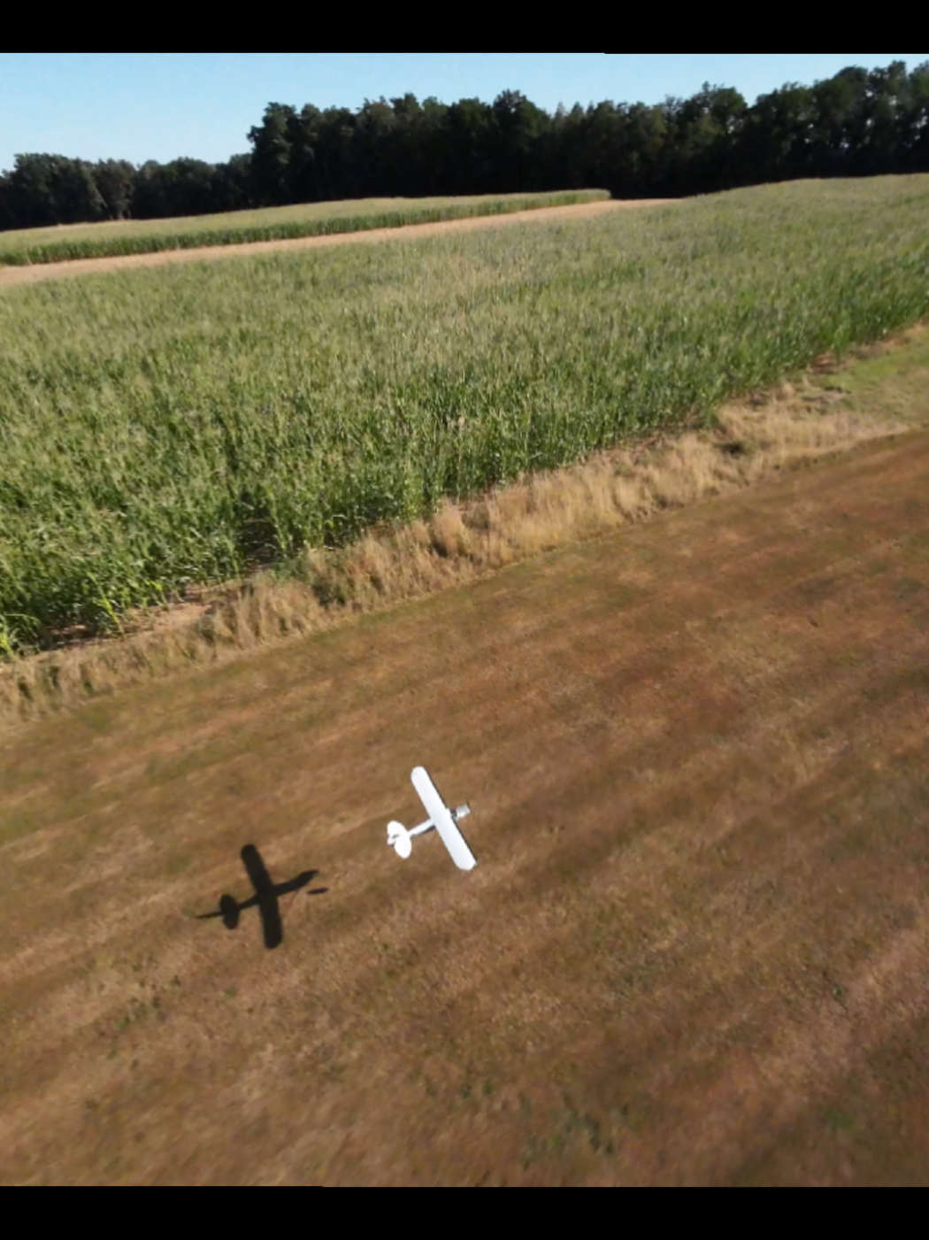 @franziskus.fpv
