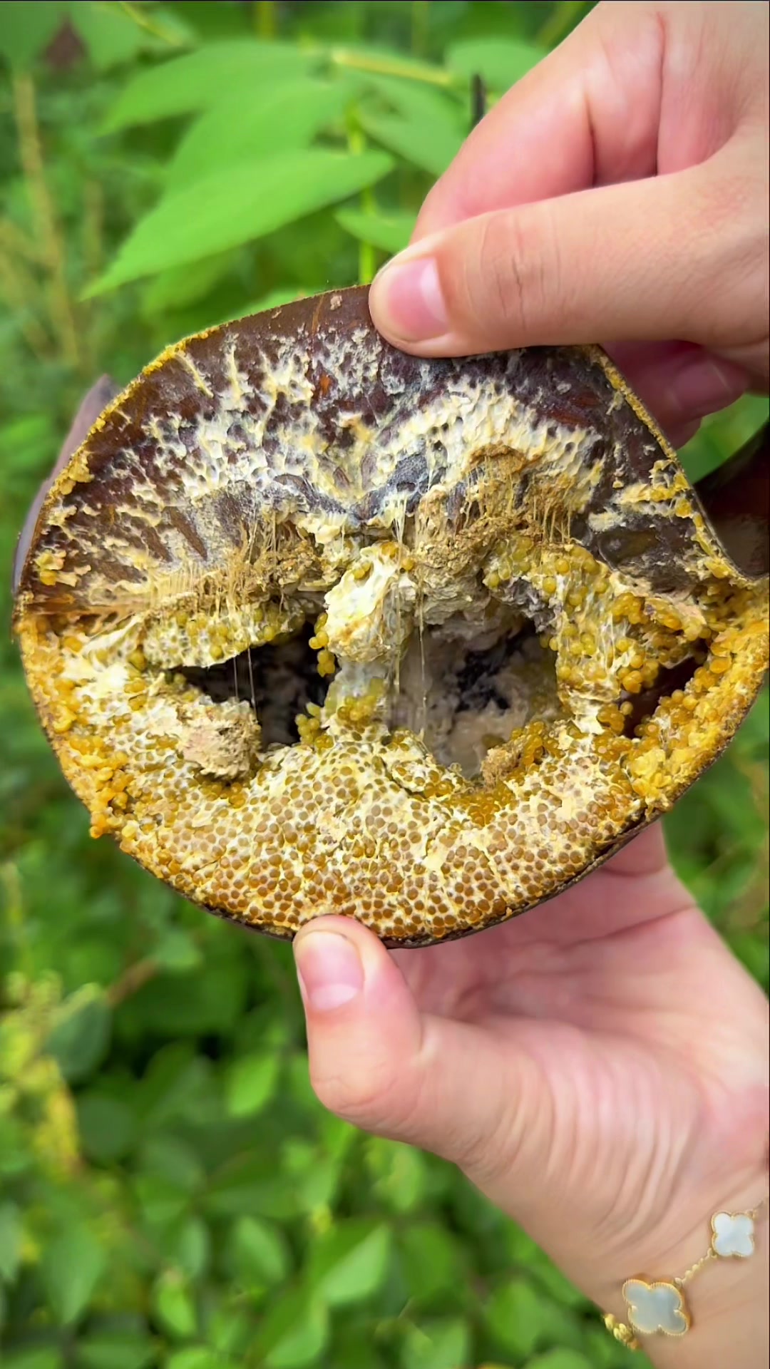@Mặt Bự Thích Nấu Ăn