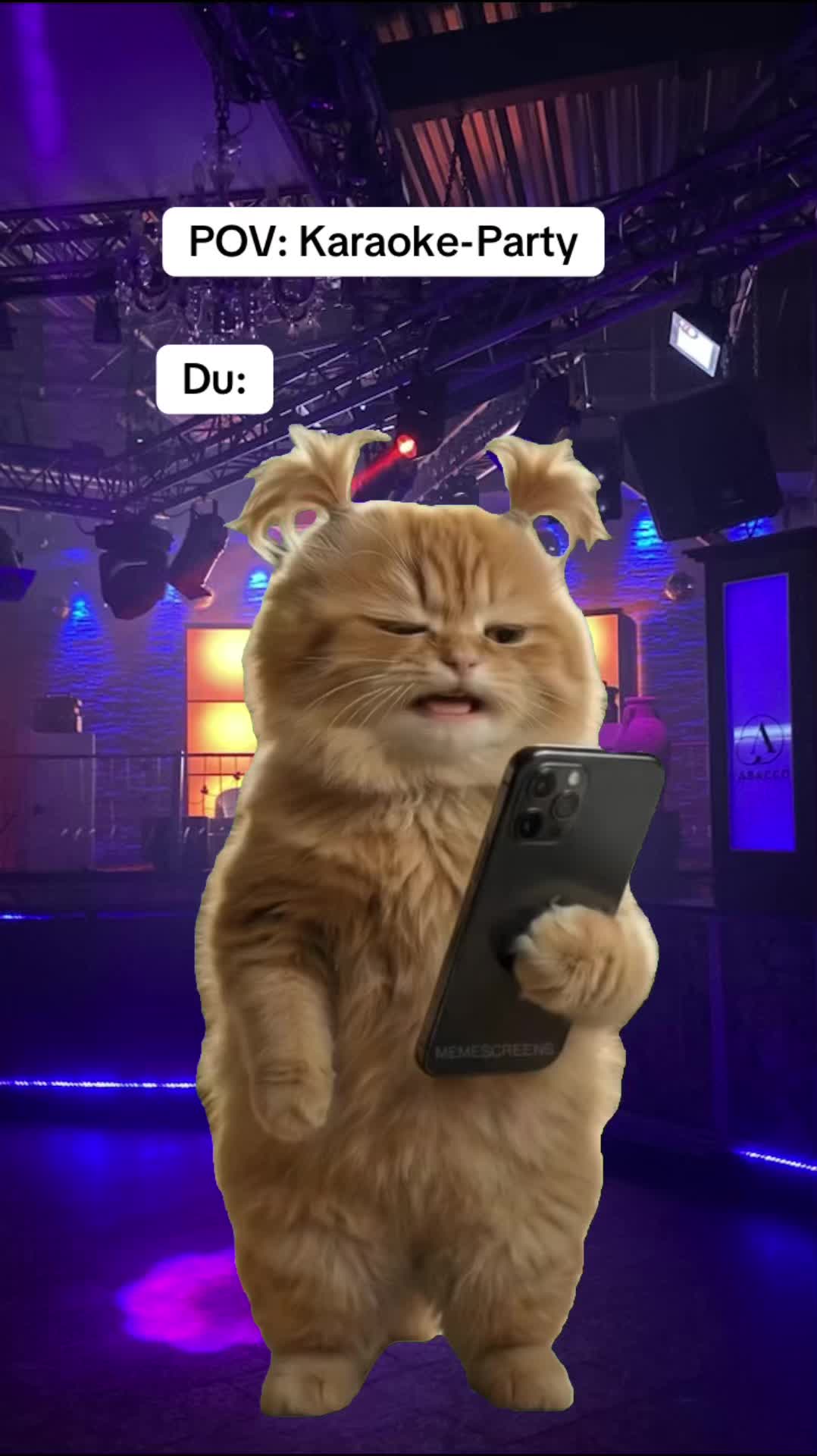 @🤪Susi.Sorglos.Memes🤪