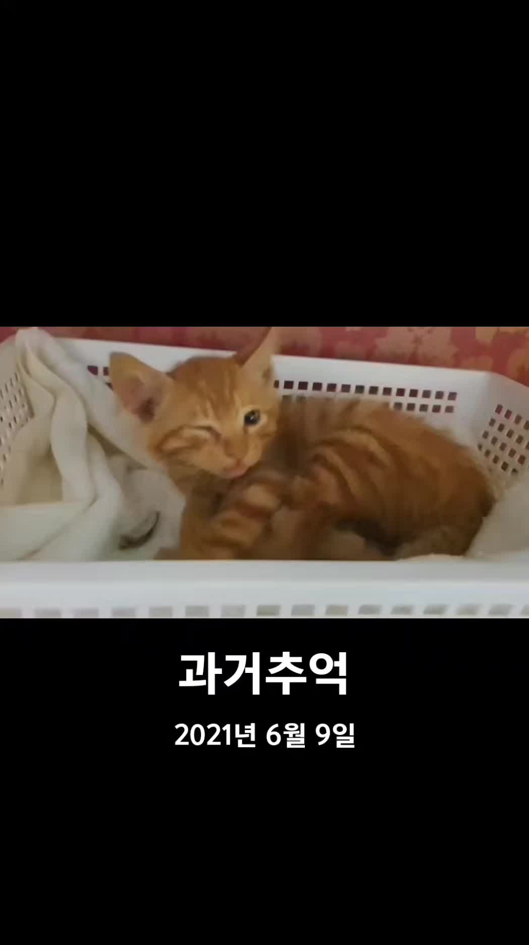 @๋์ฐ๐ถ๐