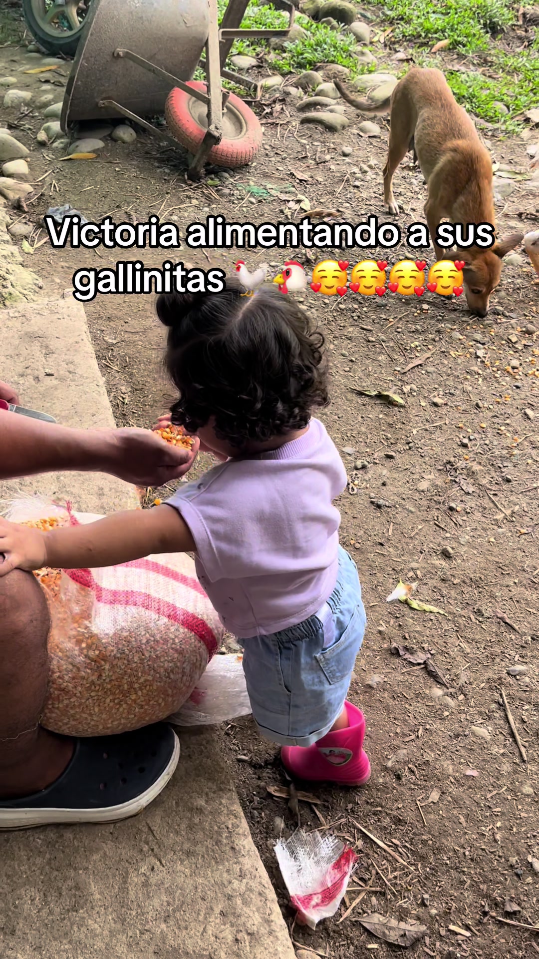 @D A N I E L A ✨🧸✨