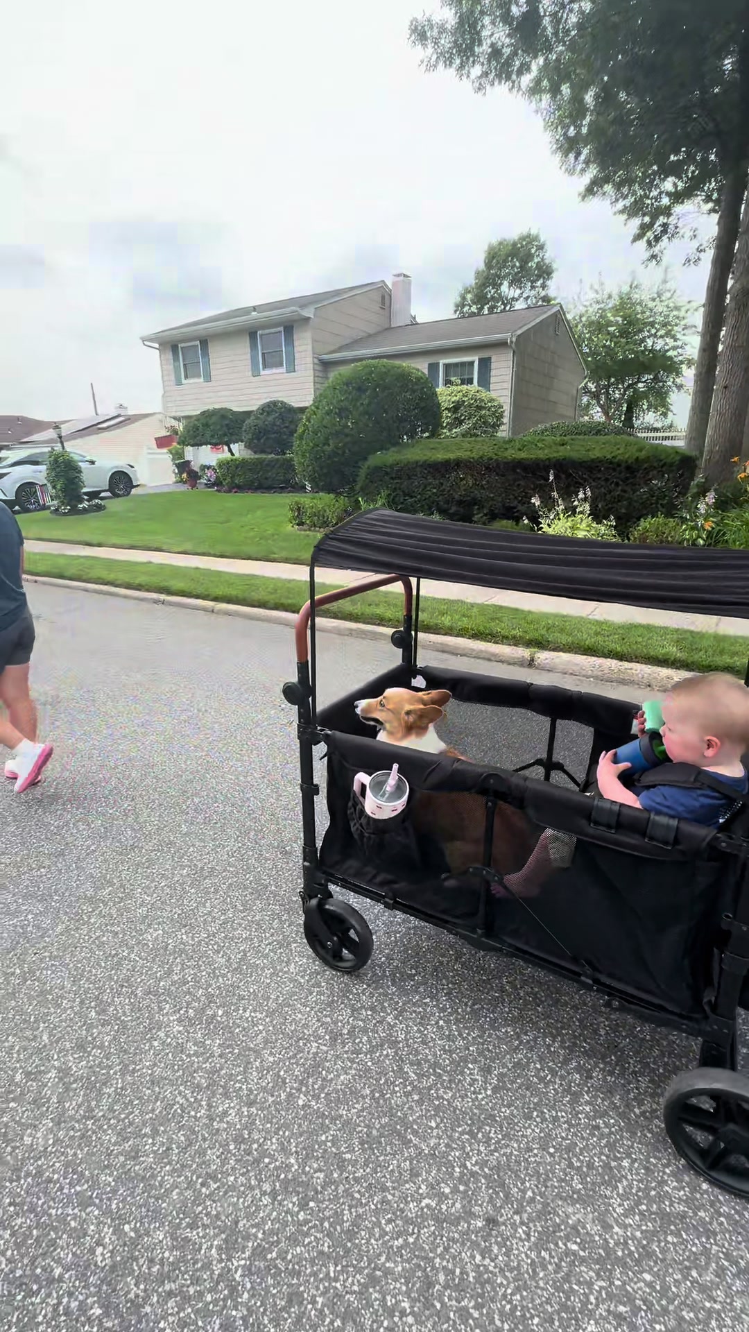 @Lauren Godden