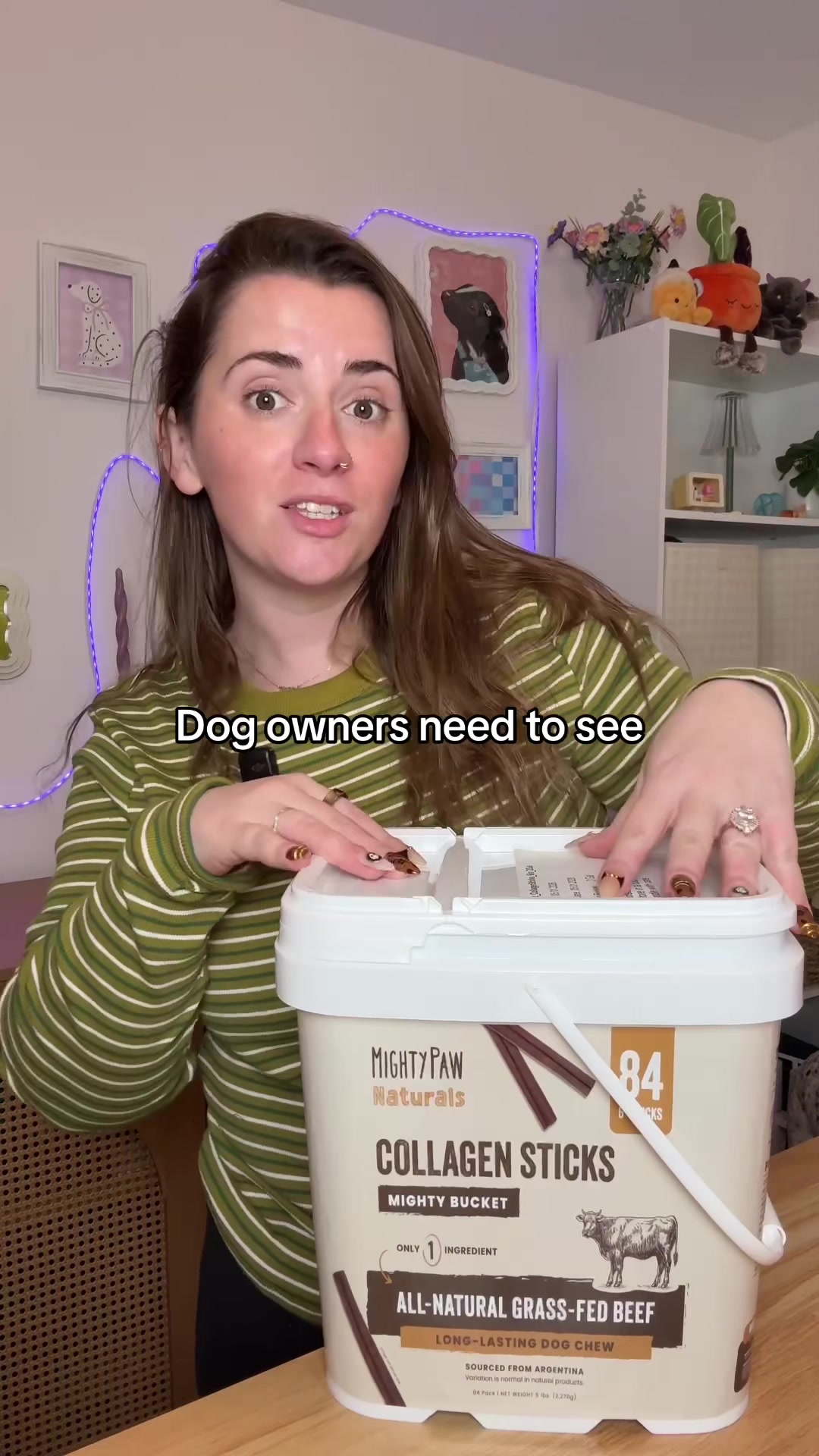 @Chelsea | Dog & Toddler Mom