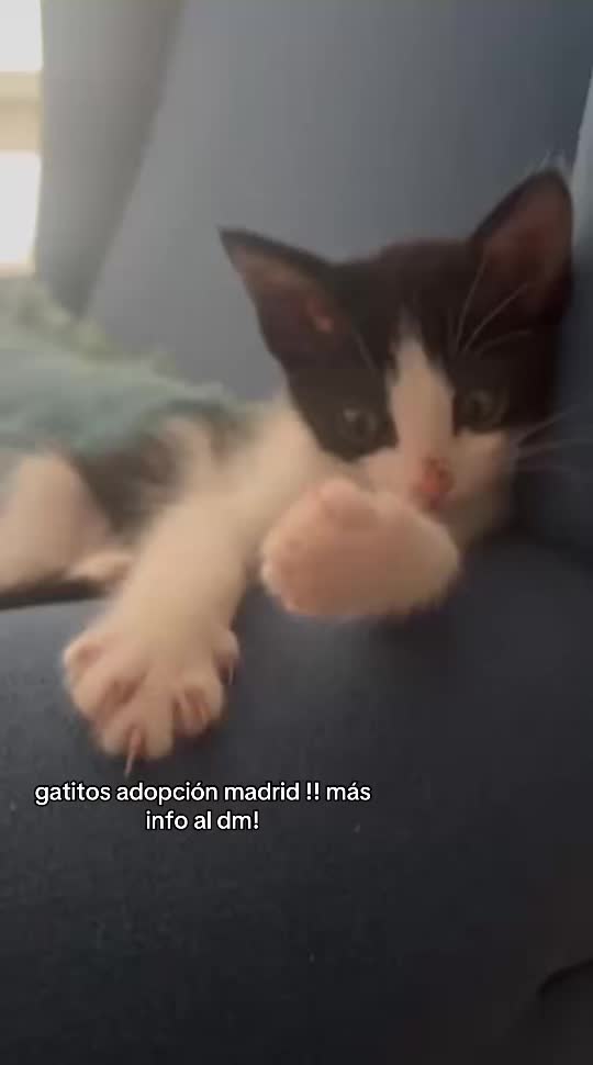 @huellitas por casa