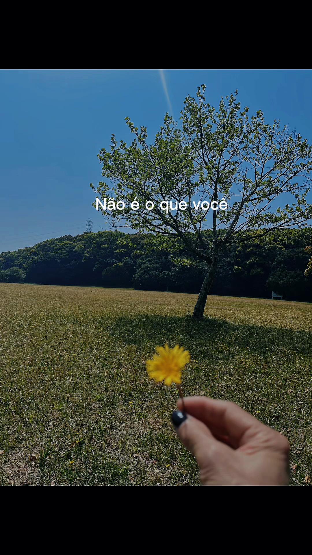 @Miya Cris