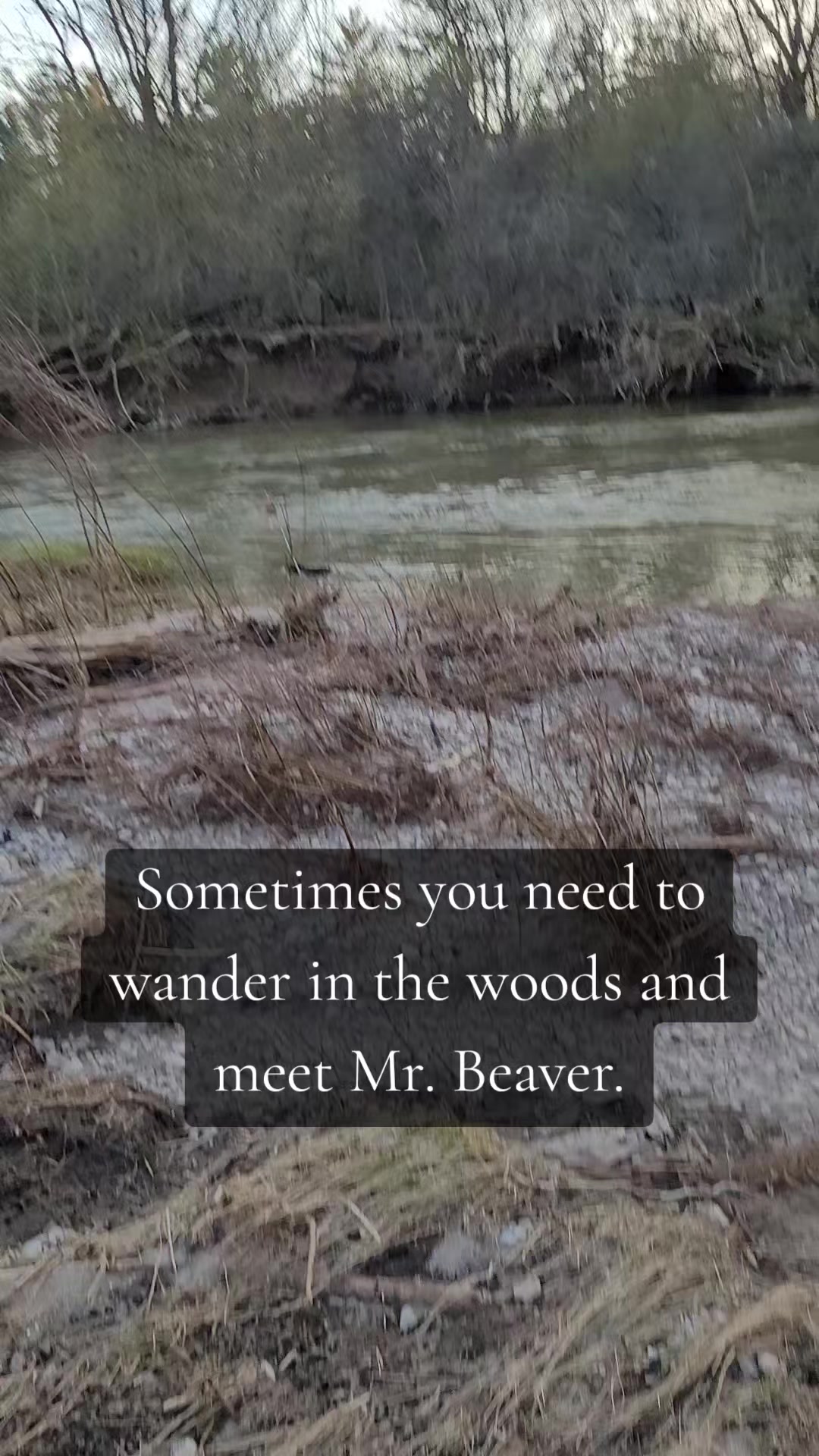 @Rebekah Dawn