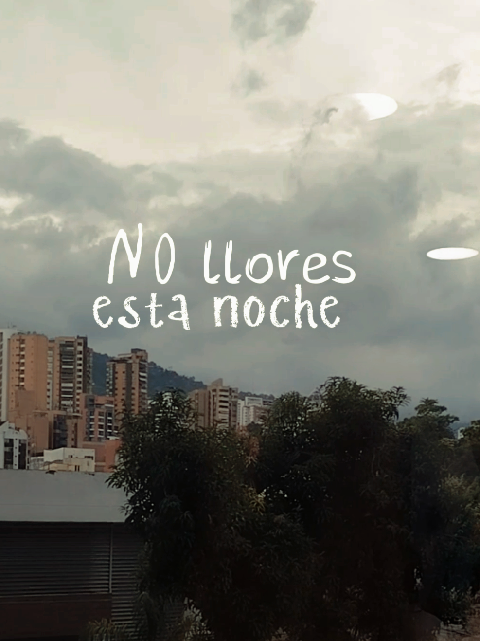 @Liliana Zabala Mendoza